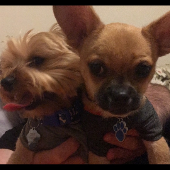 Meet your Posher, Carliππππππππ - Picture 2 of 5